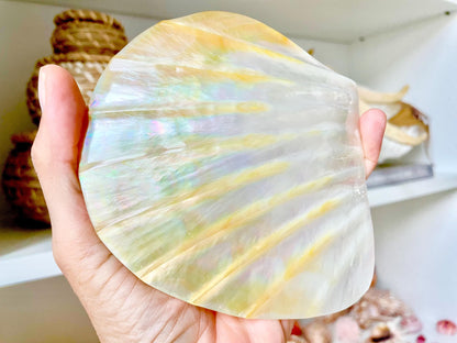 Huge 5" Mother Of Pearl Shiny Polished & Carved Half Shell Seashell Beach Coastal Crafts Irredescent Pearl and Golden Yellow Rainbow Shell