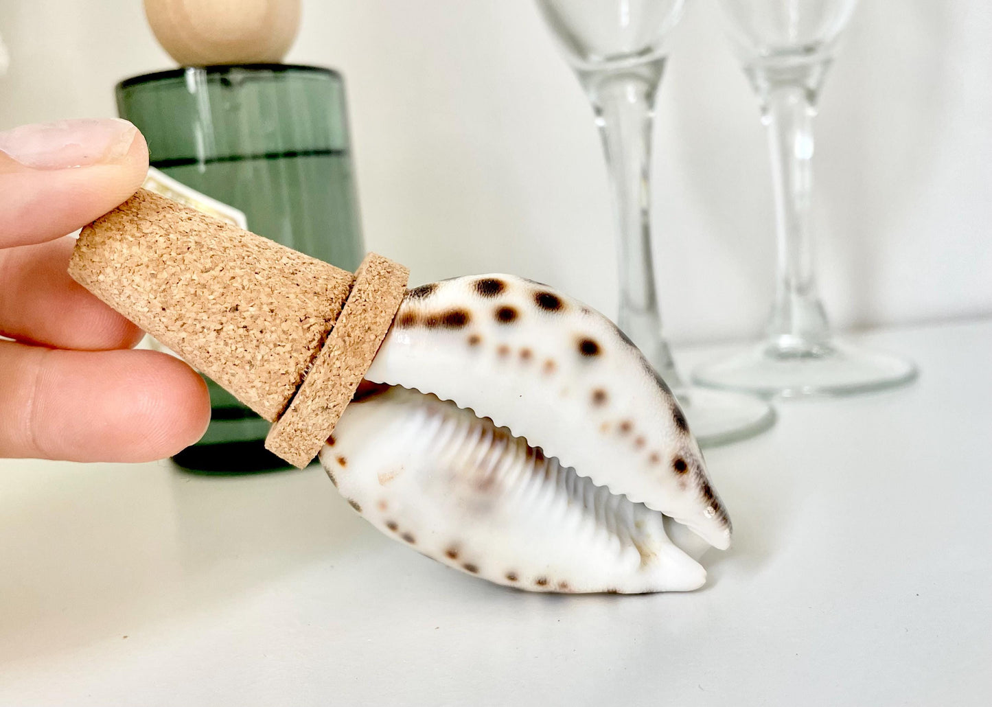 Authentic Ocean Seashell Wine Bottle Stopper Coastal Beach Lovers Gift Natural Organic Sustainable Cork Décor Cone Shells Turbo Cowry Harp