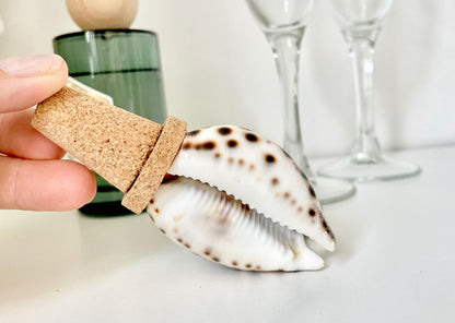 Authentic Ocean Seashell Wine Bottle Stopper Coastal Beach Lovers Gift Natural Organic Sustainable Cork Décor Cone Shells Turbo Cowry Harp
