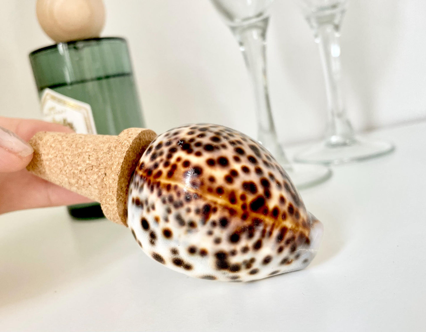 Authentic Ocean Seashell Wine Bottle Stopper Coastal Beach Lovers Gift Natural Organic Sustainable Cork Décor Cone Shells Turbo Cowry Harp