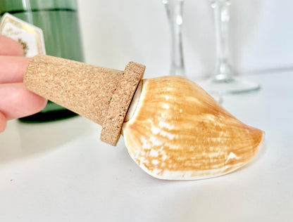 Authentic Ocean Seashell Wine Bottle Stopper Coastal Beach Lovers Gift Natural Organic Sustainable Cork Décor Cone Shells Turbo Cowry Harp