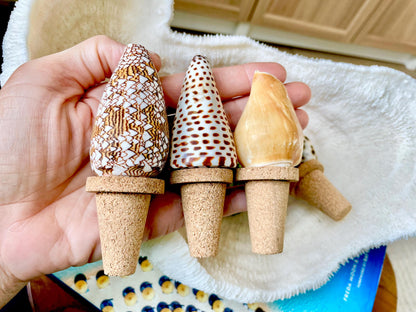Authentic Ocean Seashell Wine Bottle Stopper Coastal Beach Lovers Gift Natural Organic Sustainable Cork Décor Cone Shells Turbo Cowry Harp
