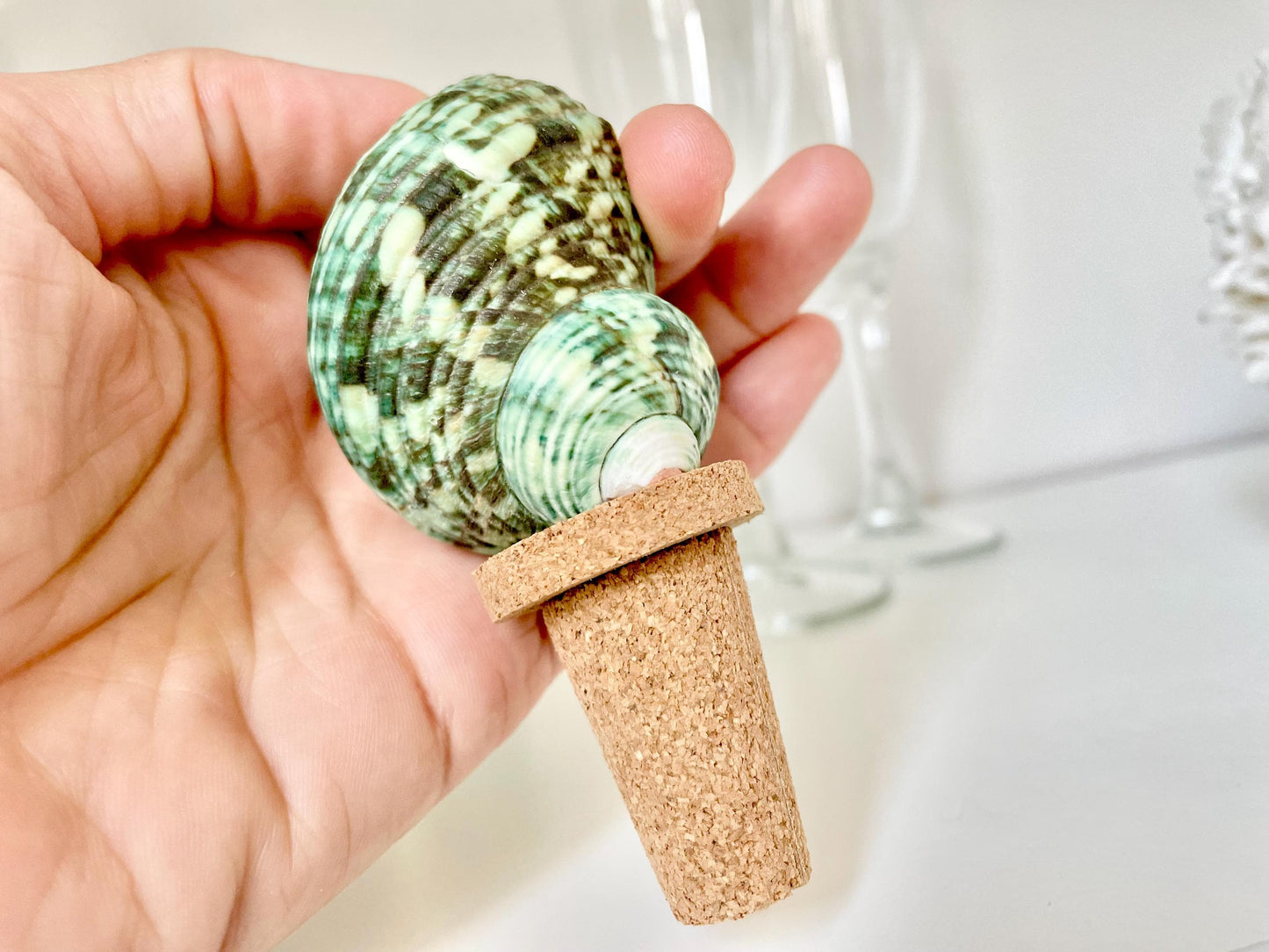 Authentic Ocean Seashell Wine Bottle Stopper Coastal Beach Lovers Gift Natural Organic Sustainable Cork Décor Cone Shells Turbo Cowry Harp