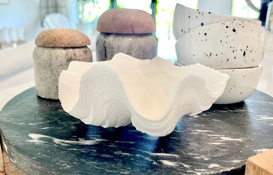 White Scalloped Edge Clam Shell 1/2 Shells *3-6", You Choose Size, Natural