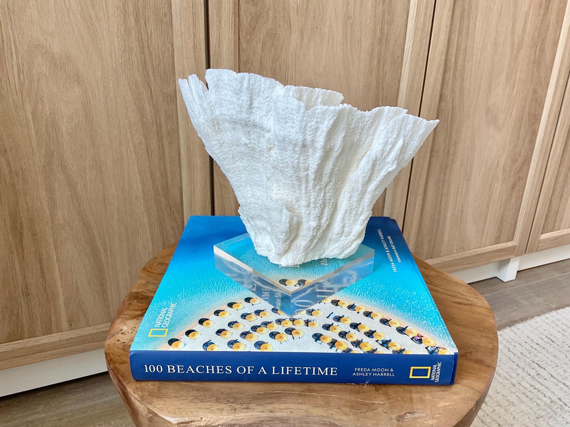 Mounted 8.5" Natural POCA CORAL Fossil Lucite Display Specimen Sculpture Ocean Art Decorative Coastal Beach Home Décor Wedding Gift White