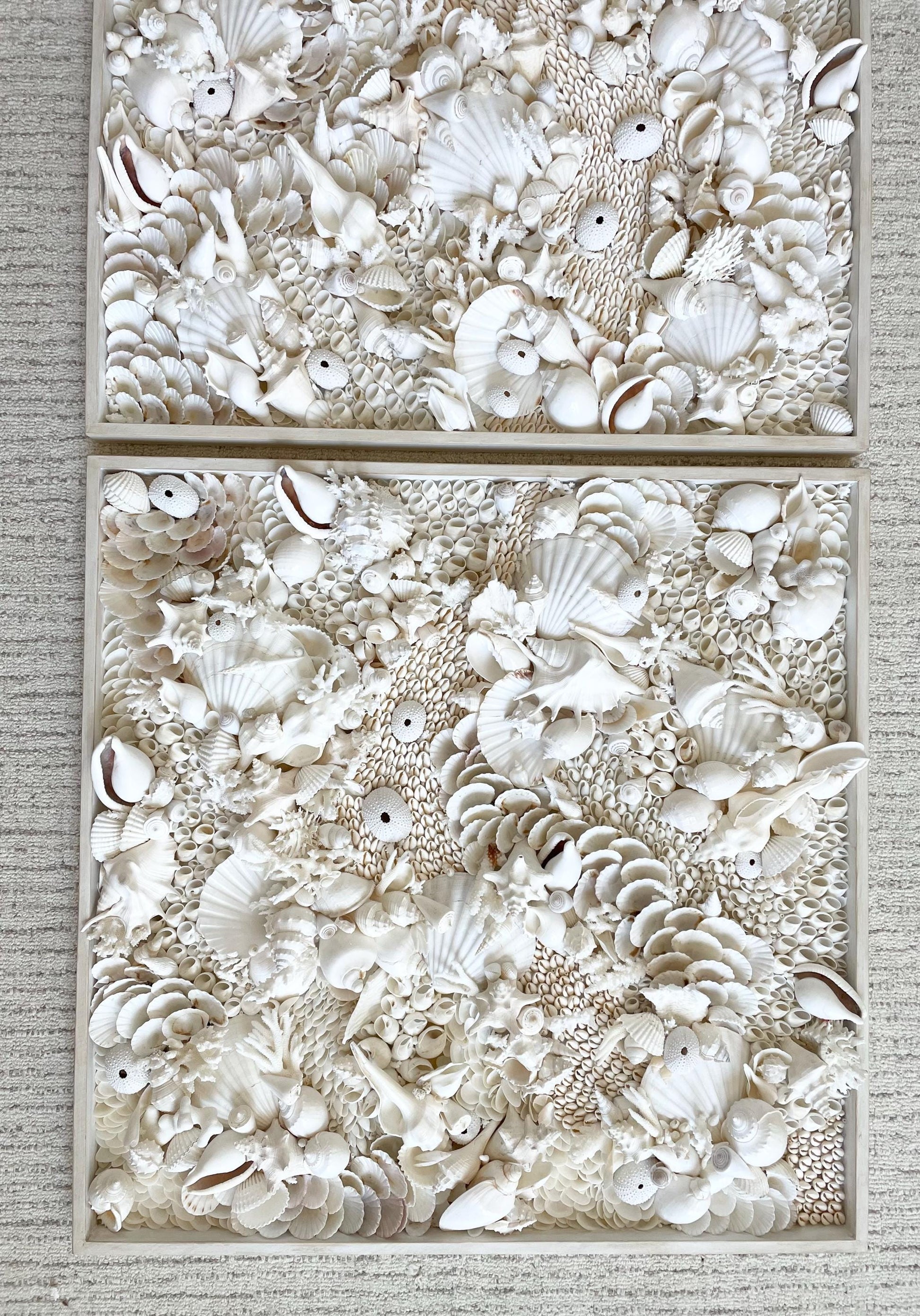 Handmade Modern Coastal Wall Art Natural Textured House Décor Seashells Urchins Coral 16", 24", 30" Square Beach White Sanibel Florida