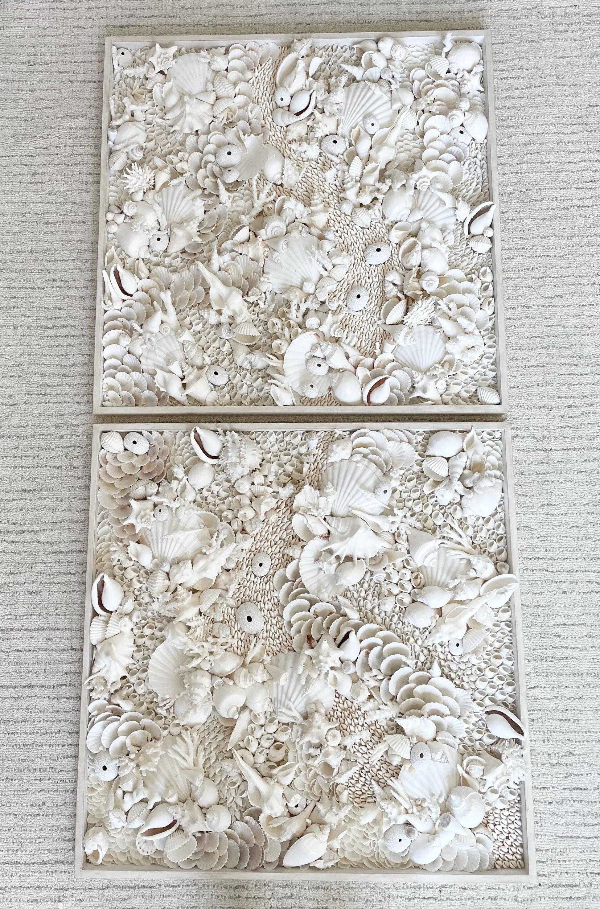 Organic Seashell Wall Art: Natural White Shells, Coral, Urchins 36”x12"