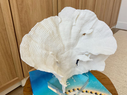Mounted 10.5" Natural CUP RUGOSA CORAL Fossil Lucite Display Specimen Sculpture Ocean Art Decorative Coastal Beach Home Décor Wedding Gift