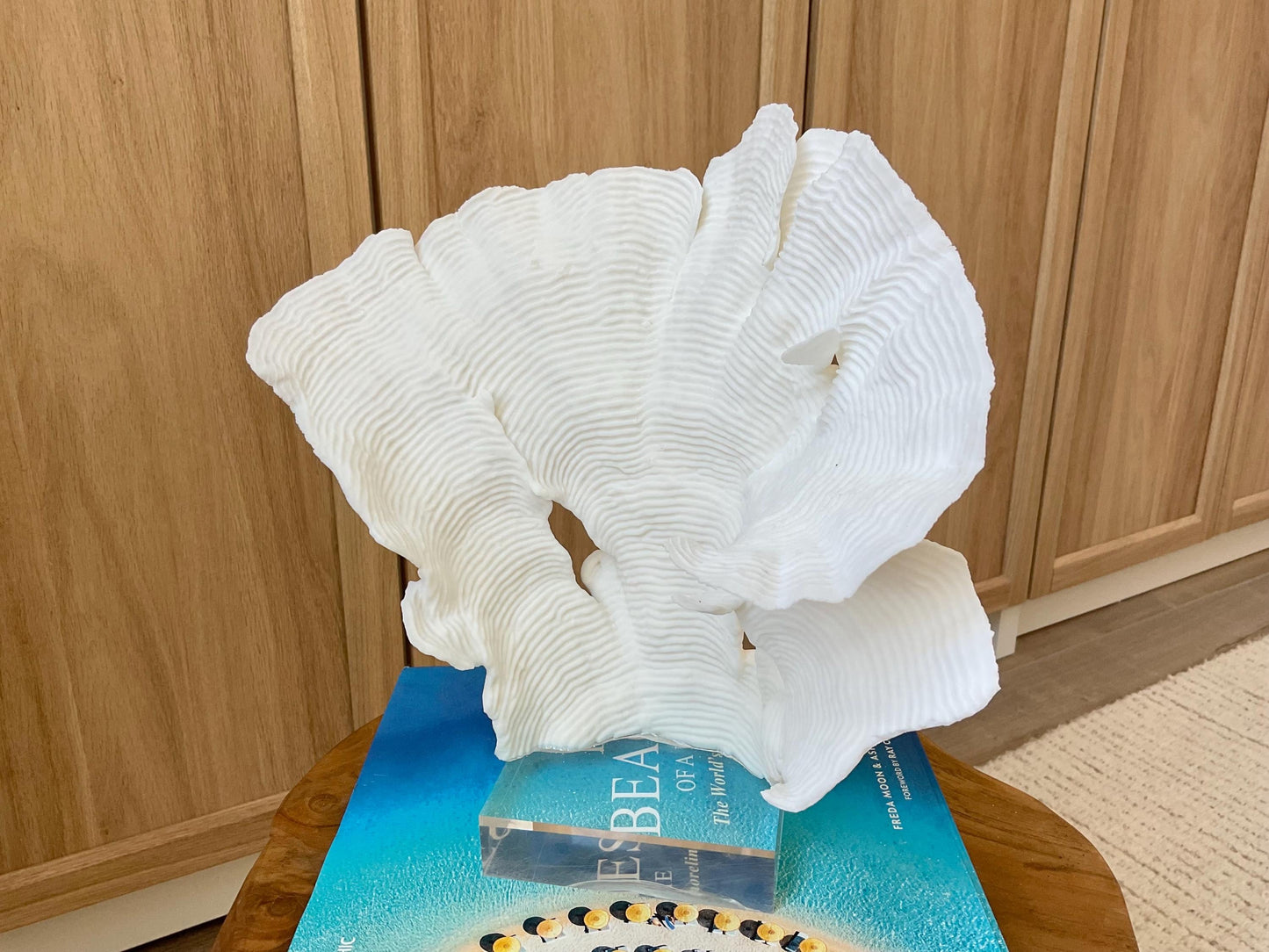 Mounted 10.5" Natural CUP RUGOSA CORAL Fossil Lucite Display Specimen Sculpture Ocean Art Decorative Coastal Beach Home Décor Wedding Gift