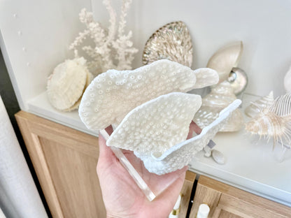 Set of 3 Mounted BLACK CUP CORAL Specimen Sculptures 100% Genuine Clear Lucite Display Base Decorative Coastal Beach Home Décor Gift White