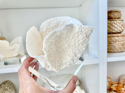 Set of 3 Mounted BLACK CUP CORAL Specimen Sculptures 100% Genuine Clear Lucite Display Base Decorative Coastal Beach Home Décor Gift White