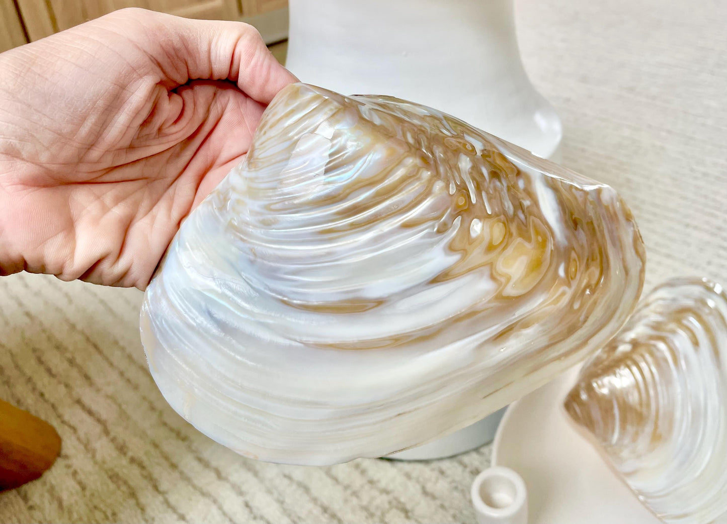Irredescent Giant Polished Mussel Half Shell Polished Mother of Pearl Seashell 7-8" Beach Nautical Gift Coastal Décor Decorative Bowl Dish