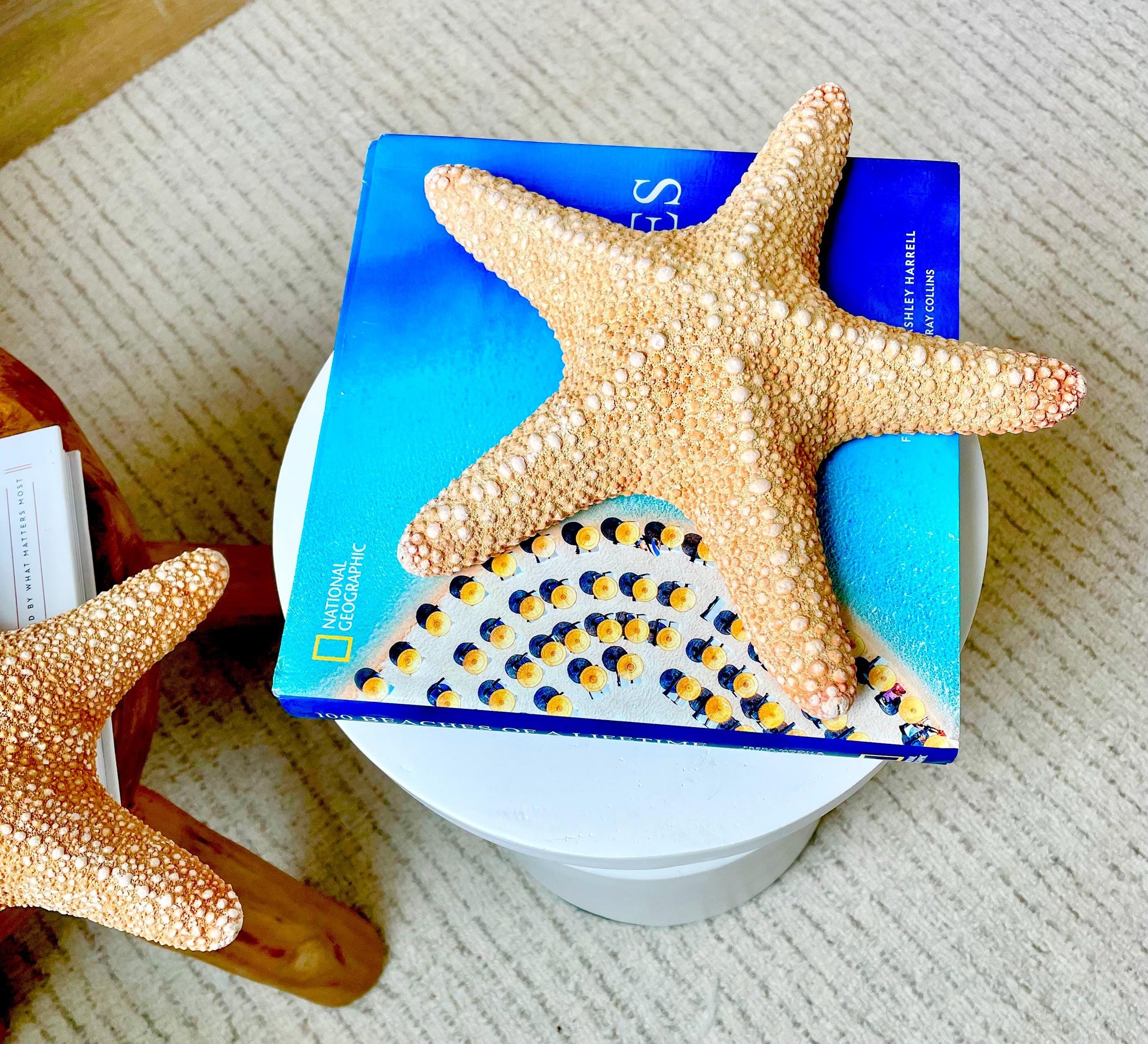 Jungle Starfish HUGE 9-10" Authentic Natural Orange Sea Star Beach Nautical Crafts & Coastal Décor