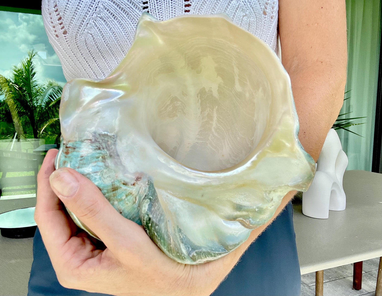 Giant Green Marmoratus Turban Shell 8" XL Huge Conch Turbo Shell Seashell Mother Of Pearl Polished Banded Coastal Décor Exact Specimen