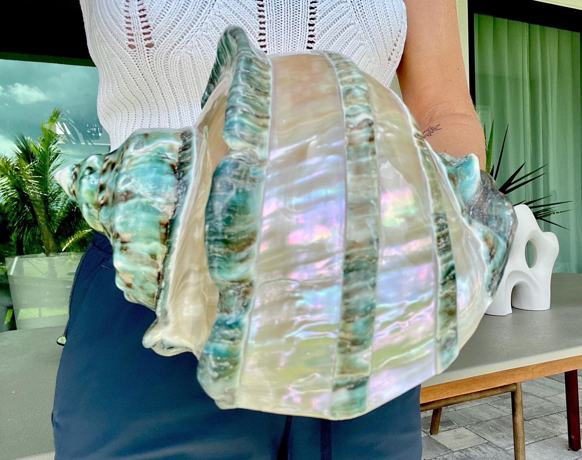 Giant Green Marmoratus Turban Shell 7.75" XL Huge Conch Turbo Shell Seashell Mother Of Pearl Polished Banded Coastal Décor Exact Specimen