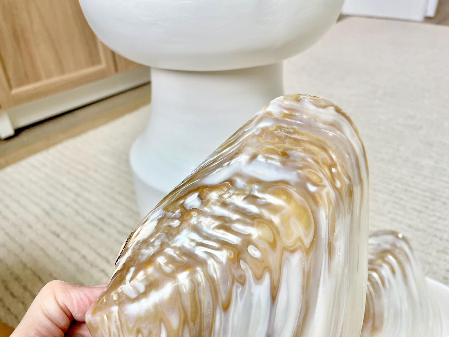 Irredescent Giant Polished Mussel Half Shell Polished Mother of Pearl Seashell 7-8" Beach Nautical Gift Coastal Décor Decorative Bowl Dish