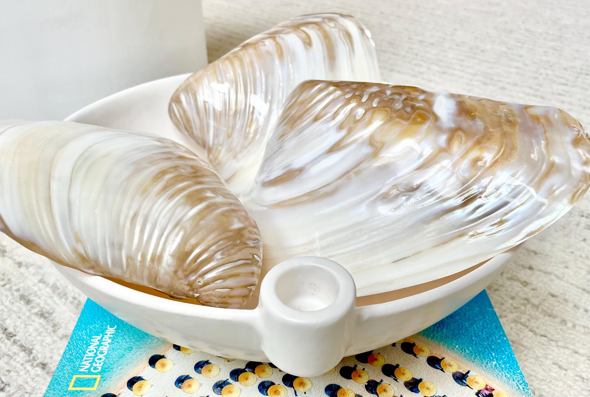 Irredescent Giant Polished Mussel Half Shell Polished Mother of Pearl Seashell 7-8" Beach Nautical Gift Coastal Décor Decorative Bowl Dish