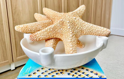 Jungle Starfish HUGE 9-10" Authentic Natural Orange Sea Star Beach Nautical Crafts & Coastal Décor