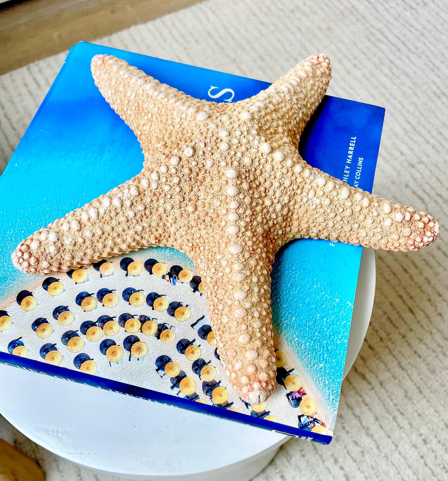 Jungle Starfish HUGE 9-10" Authentic Natural Orange Sea Star Beach Nautical Crafts & Coastal Décor
