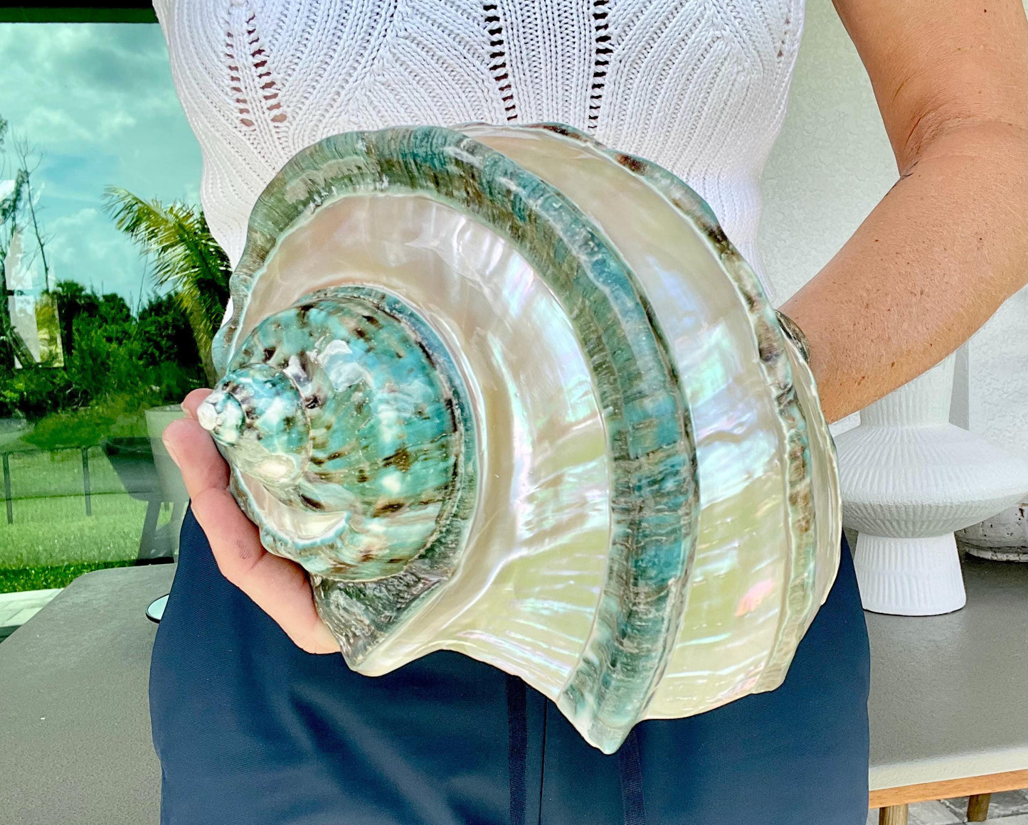 Giant Green Marmoratus Turban Shell 8" XL Huge Conch Turbo Shell Seashell Mother Of Pearl Polished Banded Coastal Décor Exact Specimen