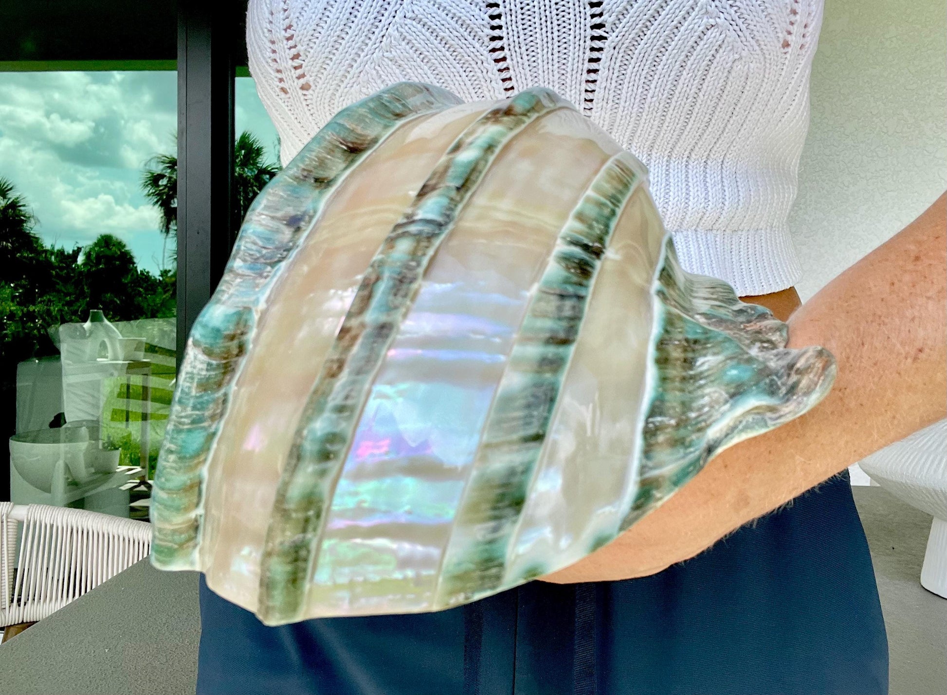 Giant Green Marmoratus Turban Shell 8" XL Huge Conch Turbo Shell Seashell Mother Of Pearl Polished Banded Coastal Décor Exact Specimen