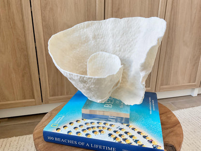 Natural Ocean Sculptural SPIRAL CUP CORAL 9" Wide Mounted On Clear Lucite Base Genuine Display Decorative Coastal Beach Home Décor Gift