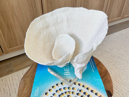 Natural Ocean Sculptural SPIRAL CUP CORAL 9" Wide Mounted On Clear Lucite Base Genuine Display Decorative Coastal Beach Home Décor Gift