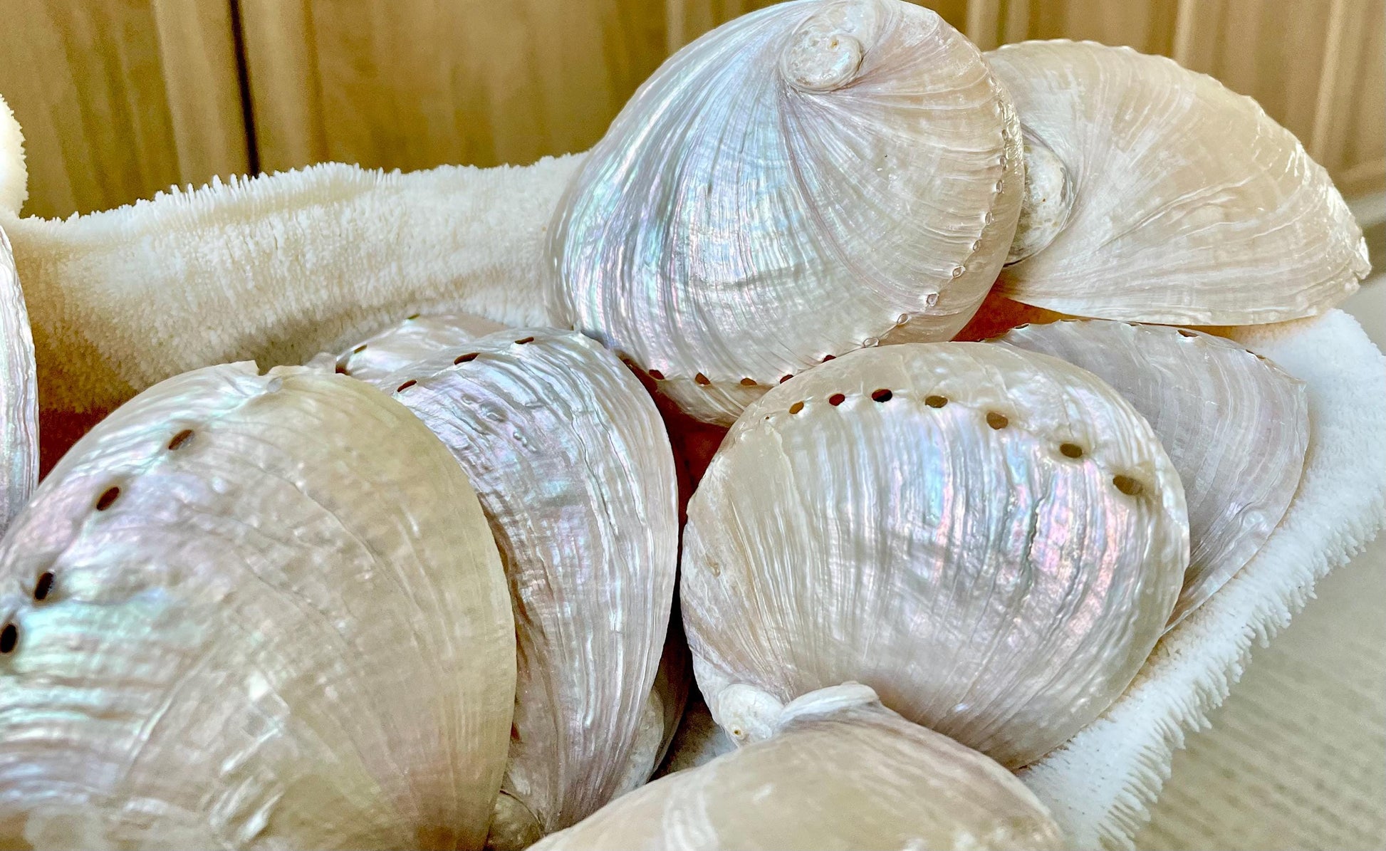 PINK PEARLED ABALONE Shell *All Sizes* Natural Iridescent Colored Seashell Shiny Mermaid Coastal Beach Home Décor Gift Sage Dish