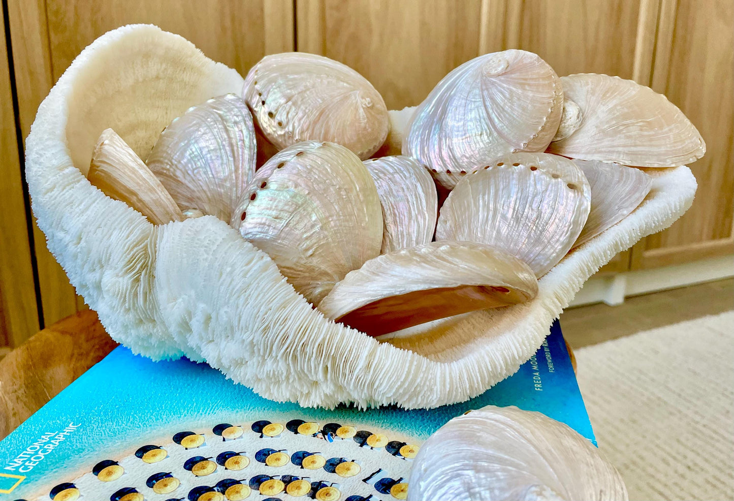 PINK PEARLED ABALONE Shell *All Sizes* Natural Iridescent Colored Seashell Shiny Mermaid Coastal Beach Home Décor Gift Sage Dish