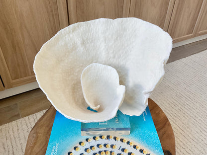 Natural Ocean Sculptural SPIRAL CUP CORAL 9" Wide Mounted On Clear Lucite Base Genuine Display Decorative Coastal Beach Home Décor Gift