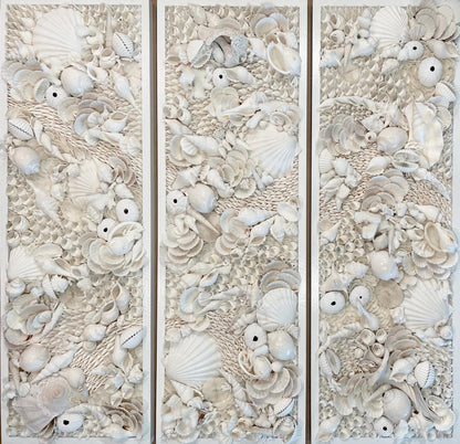 Organic Seashell Wall Art Coastal Natural REAL Shells Urchins Coral High End Beach House Décor White Collage Hanging 36”x12"