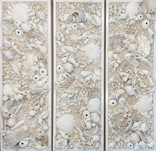 Organic Seashell Wall Art Coastal Natural REAL Shells Urchins Coral High End Beach House Décor White Collage Hanging 36”x12"
