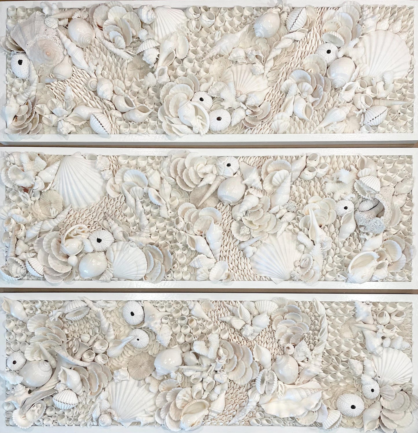 Organic Seashell Wall Art Coastal Natural REAL Shells Urchins Coral High End Beach House Décor White Collage Hanging 36”x12"