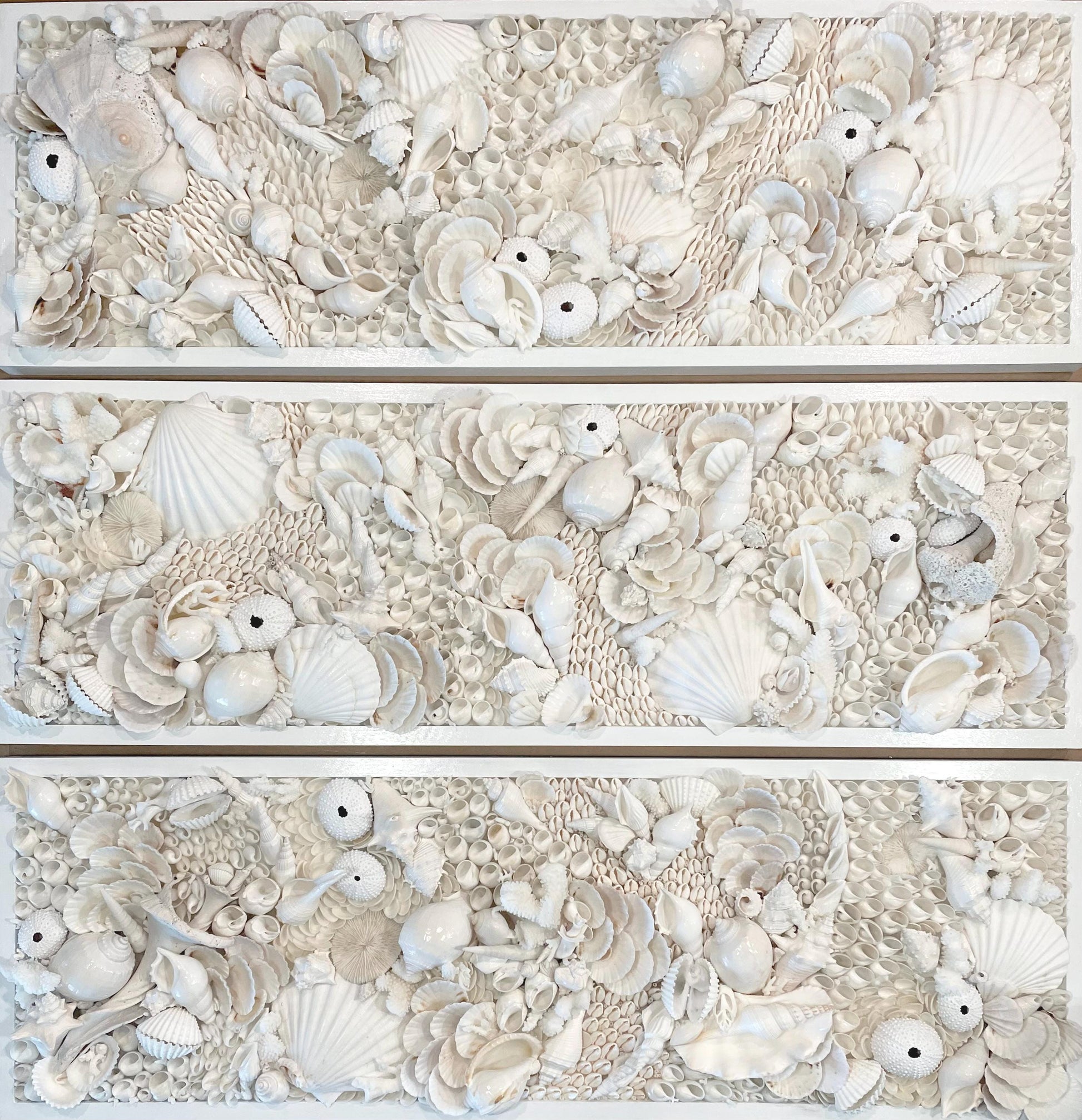 Organic Seashell Wall Art Coastal Natural REAL Shells Urchins Coral High End Beach House Décor White Collage Hanging 36”x12"