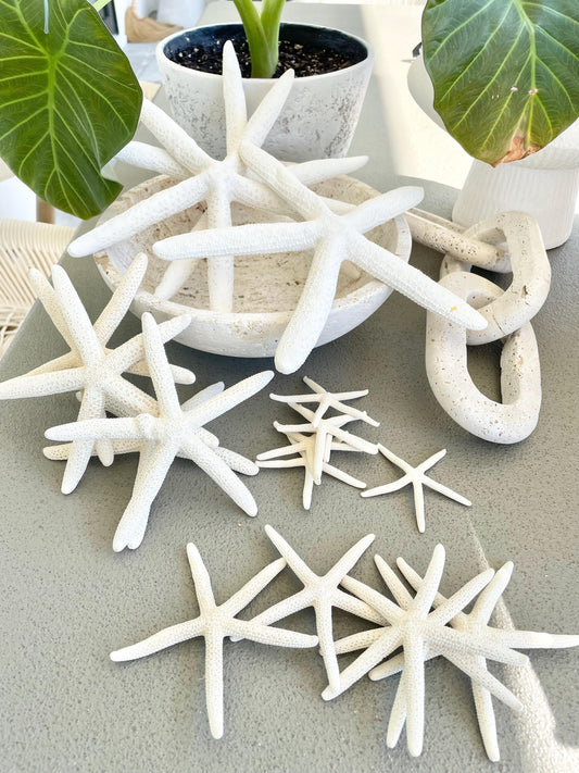 100% Real White Pencil Finger Starfish ALL SIZES Crafts & Coastal Décor Wedding Beach Nautical Sea Stars Natural