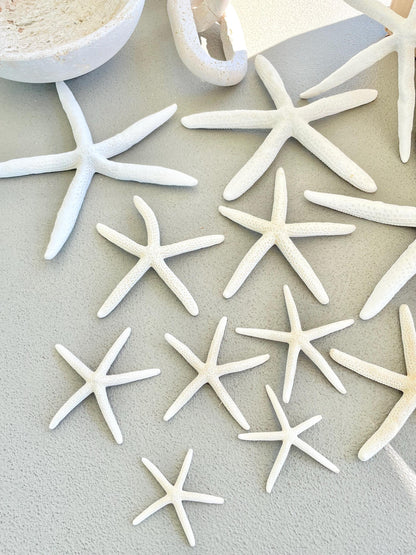100% Real White Pencil Finger Starfish ALL SIZES Crafts & Coastal Décor Wedding Beach Nautical Sea Stars Natural