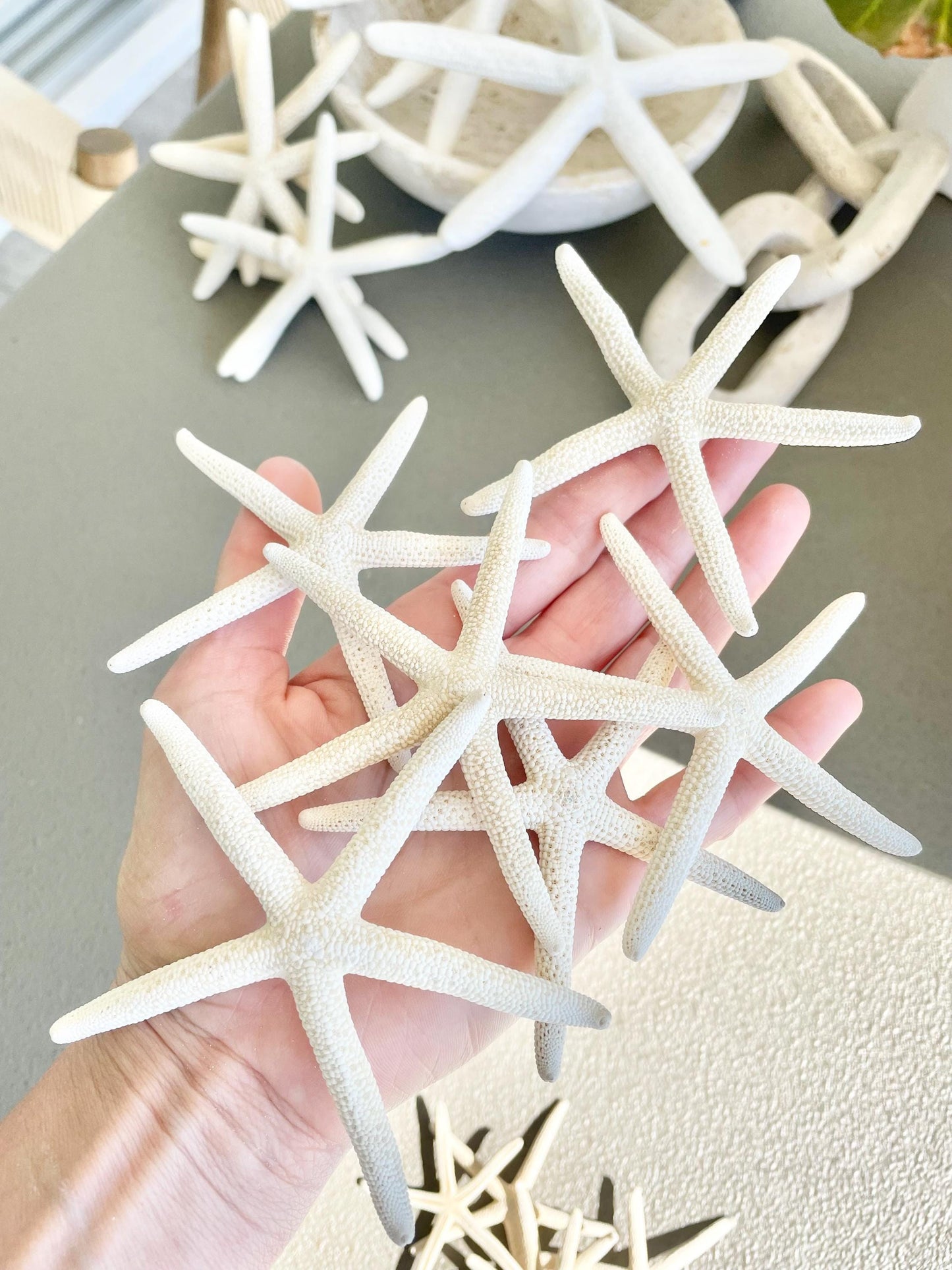 100% Real White Pencil Finger Starfish ALL SIZES Crafts & Coastal Décor Wedding Beach Nautical Sea Stars Natural