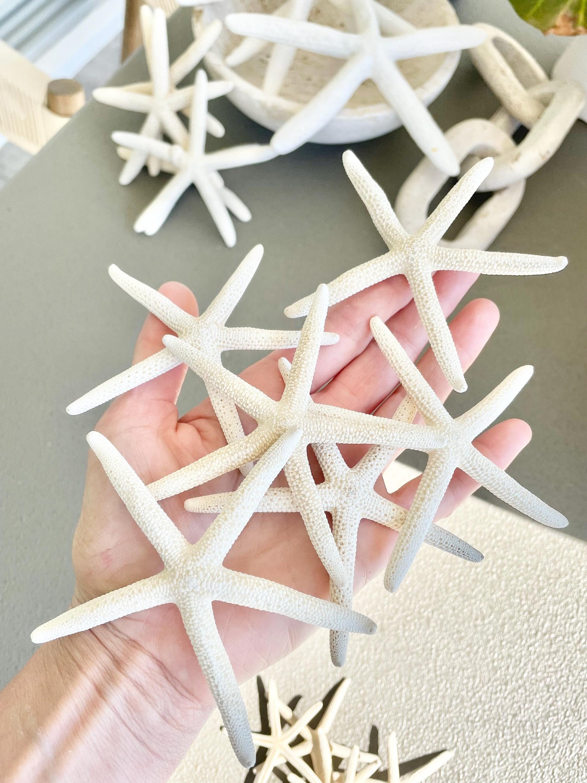 100% Real White Pencil Finger Starfish ALL SIZES Crafts & Coastal Décor Wedding Beach Nautical Sea Stars Natural