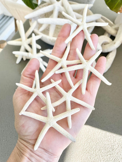 100% Real White Pencil Finger Starfish ALL SIZES Crafts & Coastal Décor Wedding Beach Nautical Sea Stars Natural