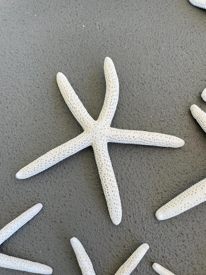 100% Real White Pencil Finger Starfish ALL SIZES Crafts & Coastal Décor Wedding Beach Nautical Sea Stars Natural