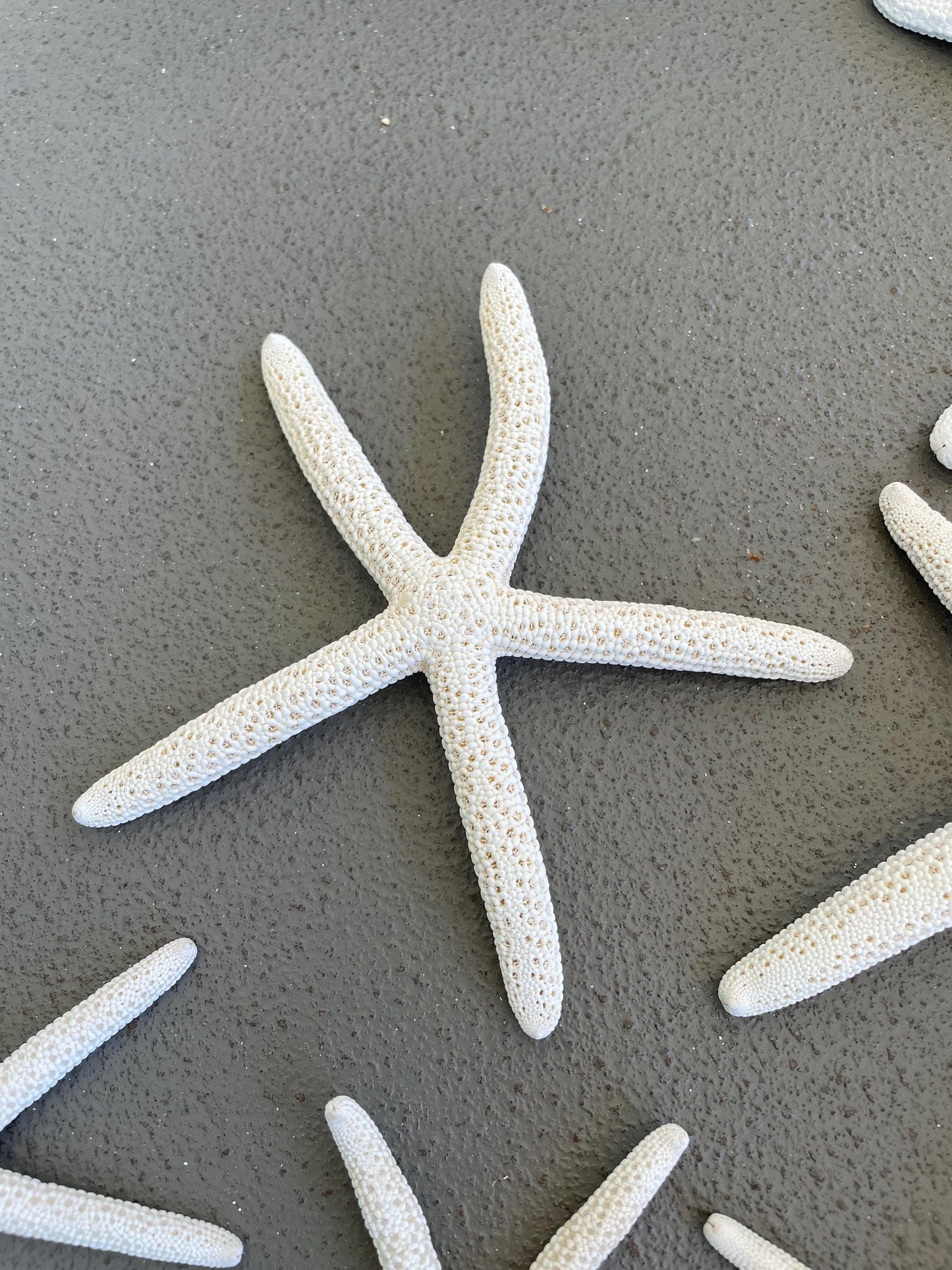 100% Real White Pencil Finger Starfish ALL SIZES Crafts & Coastal Décor Wedding Beach Nautical Sea Stars Natural