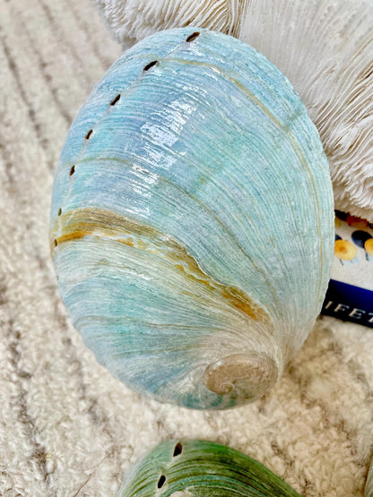 BLUE GREEN POLISHED High Shine Abalone Shells *All Sizes* Natural Iridescent Silver Mermaid Seashell Coastal Décor Gift Sage Dish