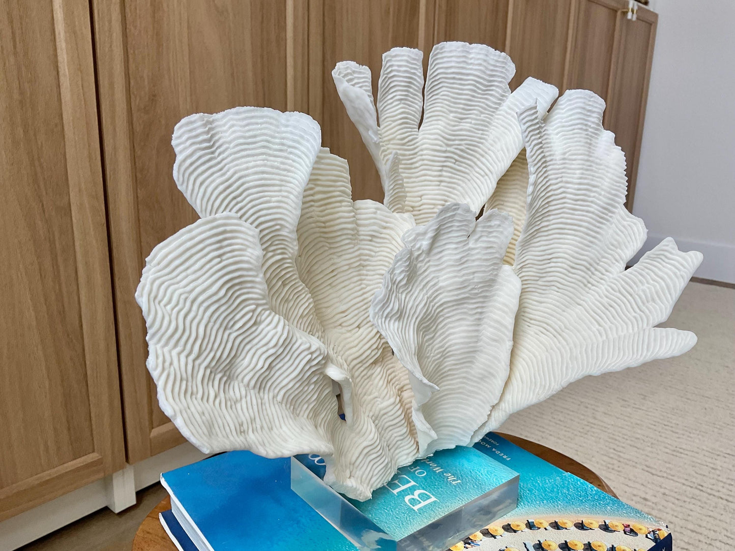 Mounted 12" Natural CUP RUGOSA CORAL Fossil Lucite Display Specimen Sculpture Ocean Art Decorative Coastal Beach Home Décor Wedding Gift