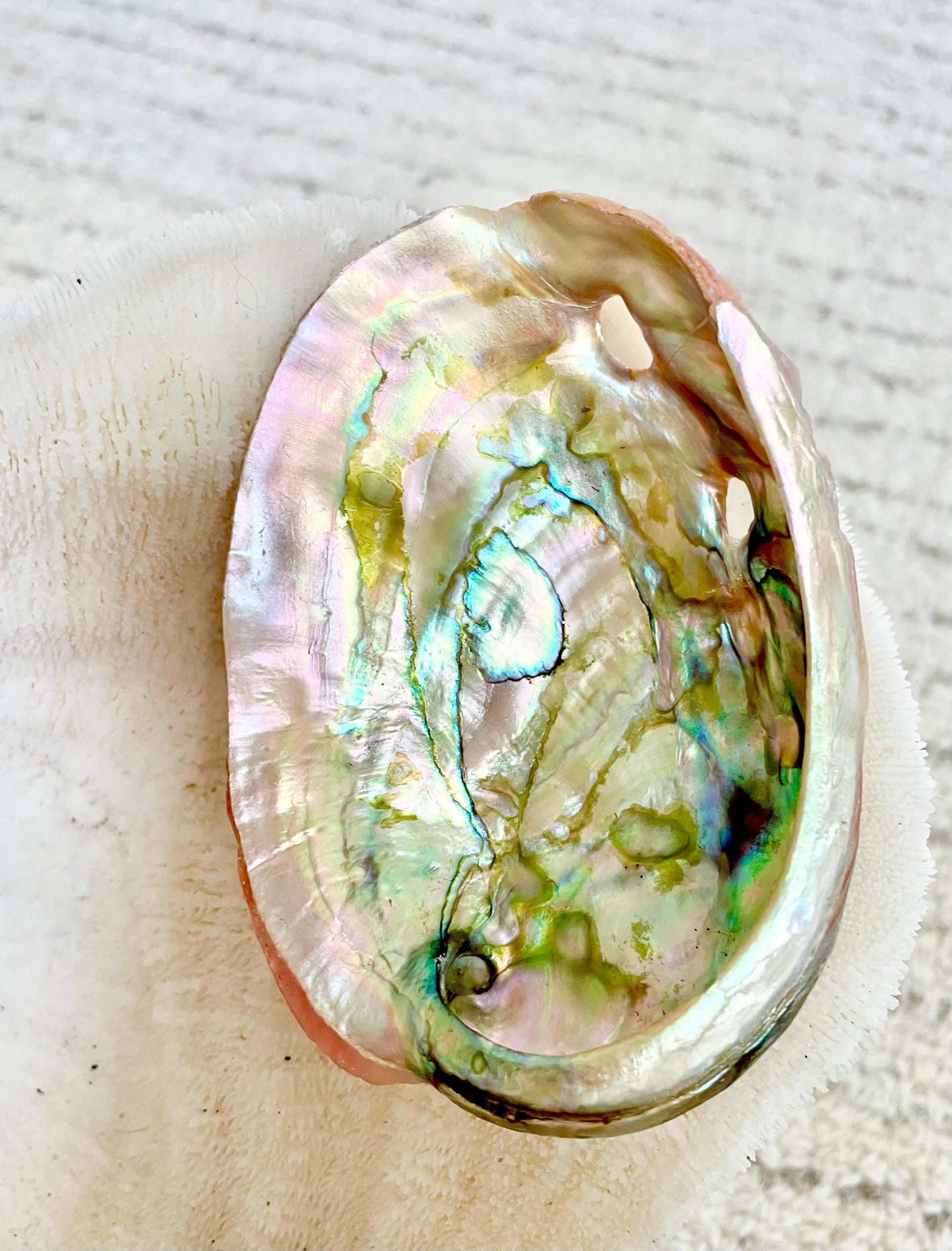 Large Rare & Real! 3.5-4" Long Red Striped Natural Abalone Shells Iridescent Silver Mermaid Shell Sea Coastal Décor Gift Sage Dish