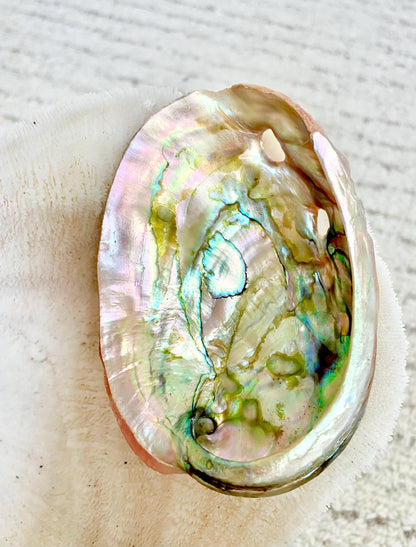 Large Rare & Real! 3.5-4" Long Red Striped Natural Abalone Shells Iridescent Silver Mermaid Shell Sea Coastal Décor Gift Sage Dish