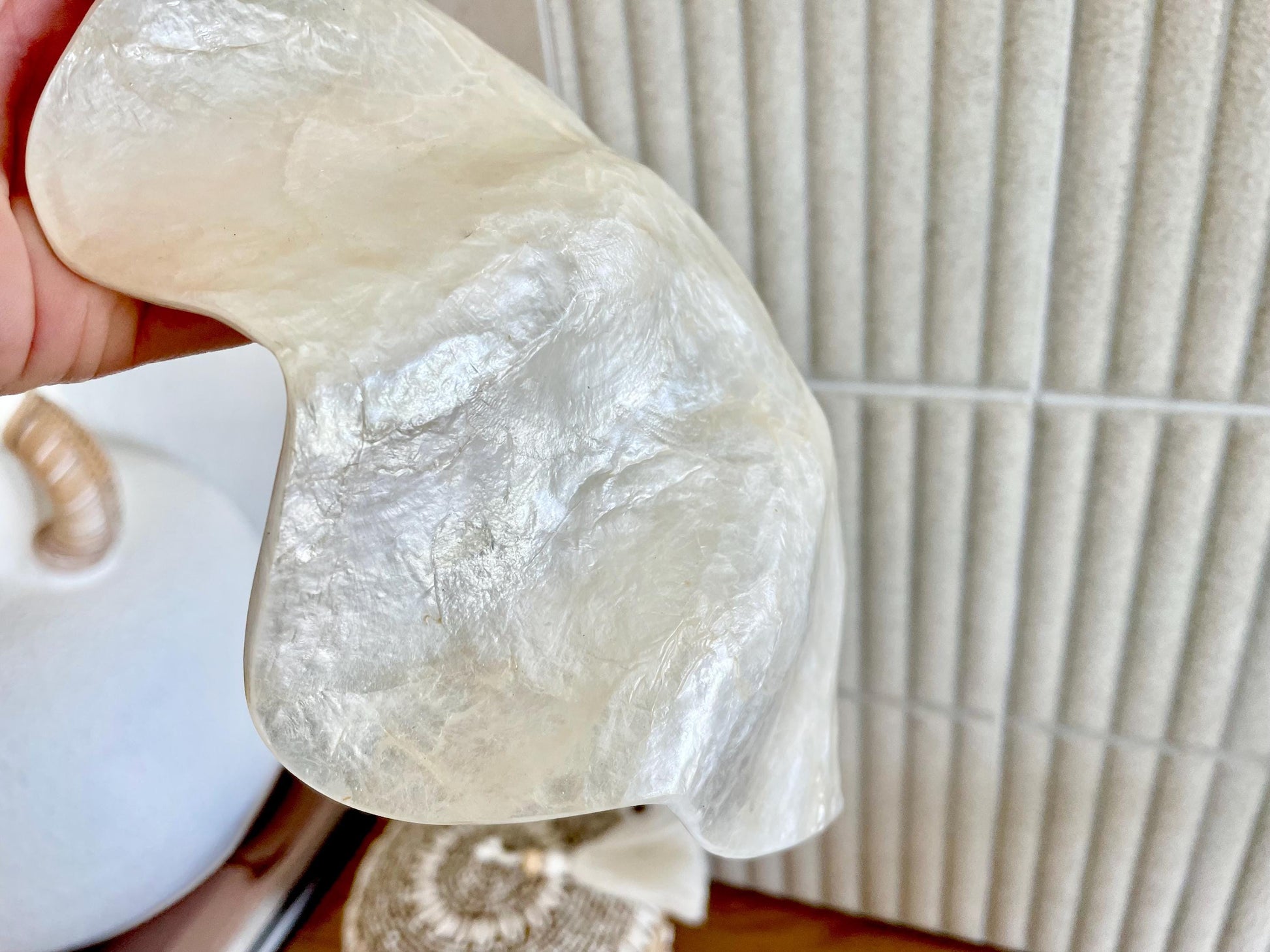 CAPIZ SHELL BOWL 8x5.5x3" Clam Shaped Seashell Natural Cream Ivory Coastal Home Décor