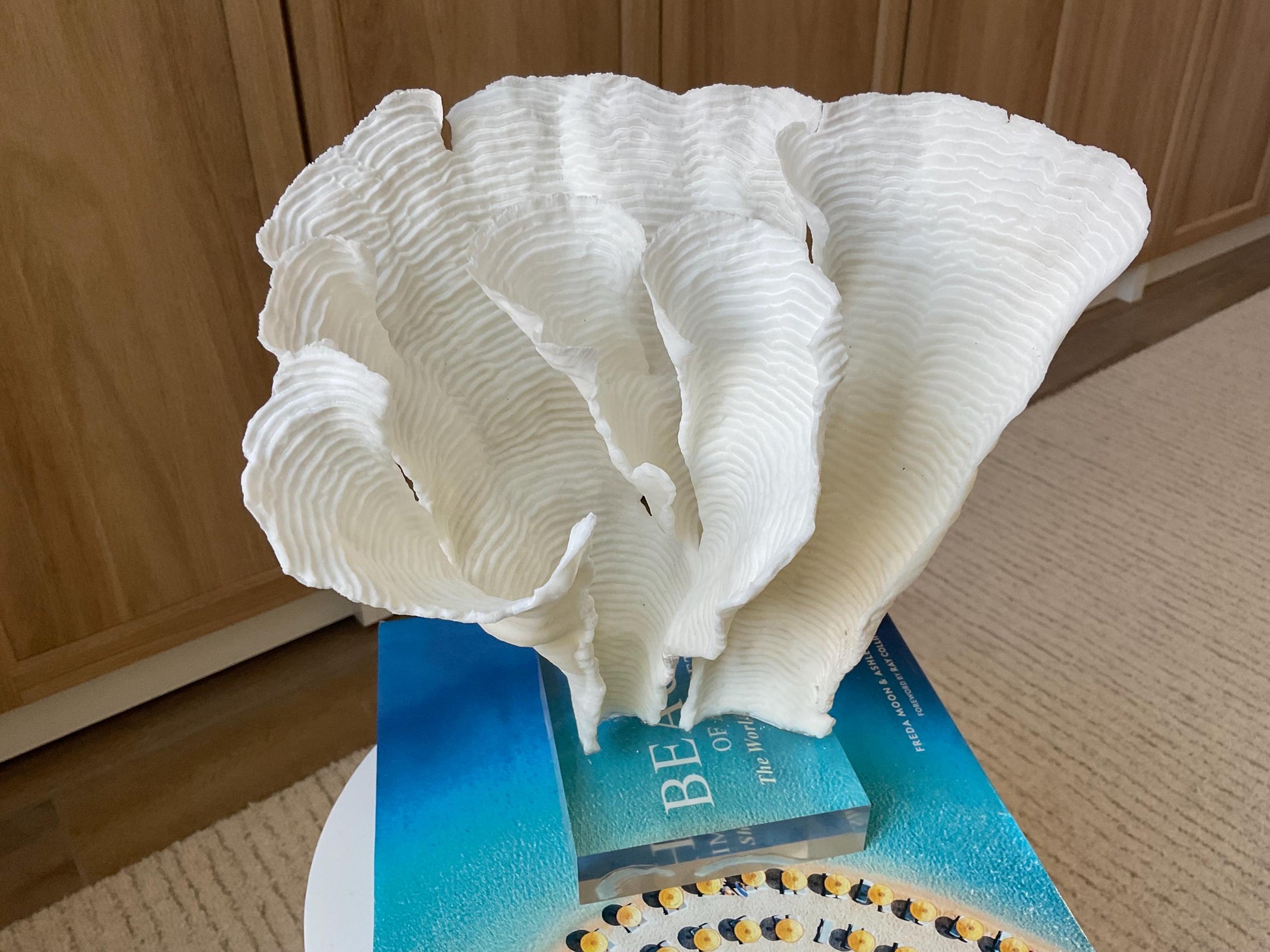 Mounted 11" Natural CUP RUGOSA CORAL Fossil Lucite Display Specimen Sculpture Ocean Art Decorative Coastal Beach Home Décor Wedding Gift