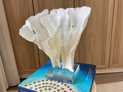 Mounted 11" Natural CUP RUGOSA CORAL Fossil Lucite Display Specimen Sculpture Ocean Art Decorative Coastal Beach Home Décor Wedding Gift