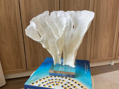 Mounted 11" Natural CUP RUGOSA CORAL Fossil Lucite Display Specimen Sculpture Ocean Art Decorative Coastal Beach Home Décor Wedding Gift