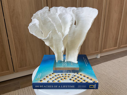 Mounted 11" Natural CUP RUGOSA CORAL Fossil Lucite Display Specimen Sculpture Ocean Art Decorative Coastal Beach Home Décor Wedding Gift